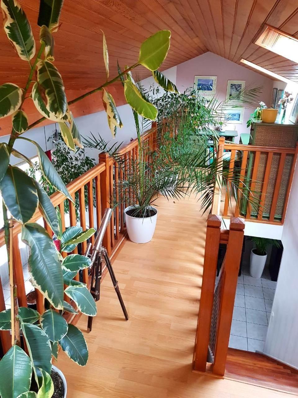 Bed and Breakfast Chez Maryna Longpont-sur-Orge Экстерьер фото